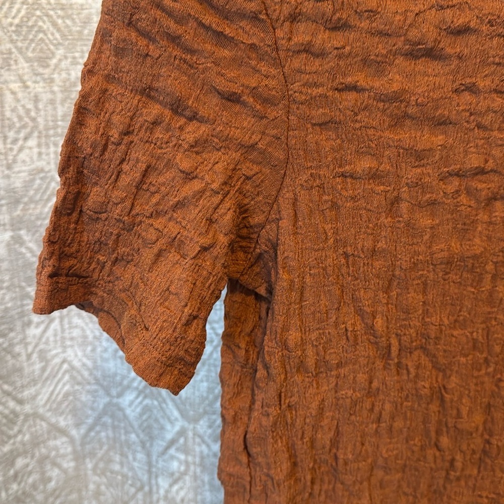 Mango Brown Ruched Top - Picture 3 of 3